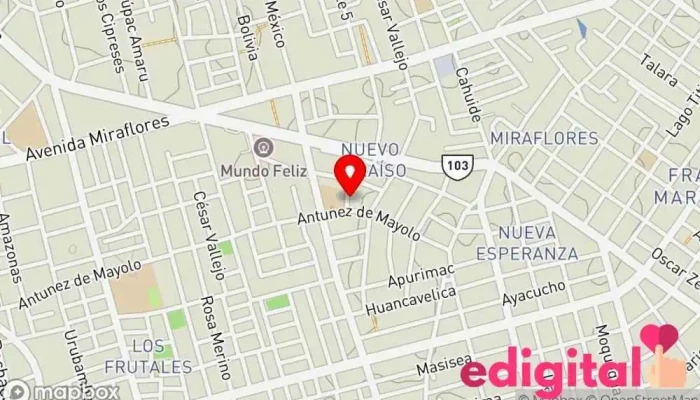 mapa de Botica Nayely Jasmin Farmacia en Pucallpa