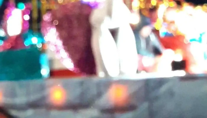 Botica Nestarez -  Videos - Jiron Sta. Rosa 147