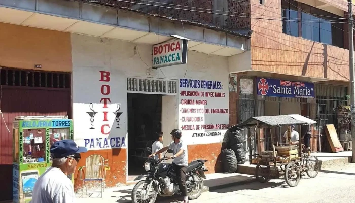 Botica Panacea -  Sitio Web - Juanjuí