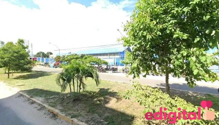 Botica Salud Farma Ii - Tarapoto