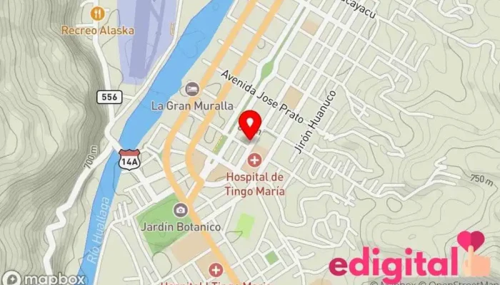 mapa de Botica San Martin Farmacia en Tingo María