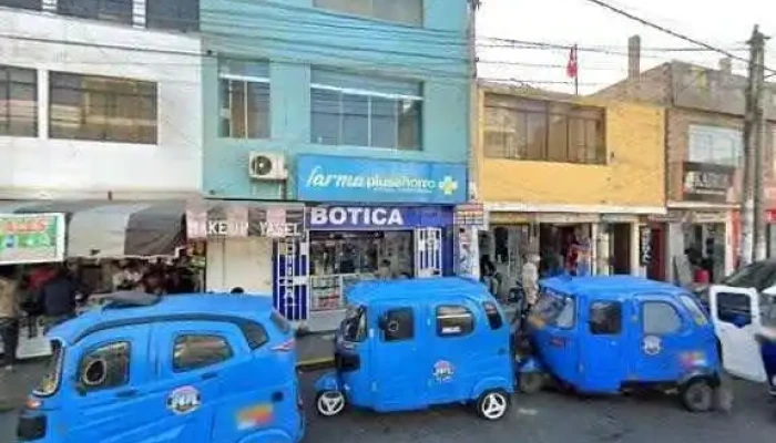Botica San Pedro -  Catalogo - Pisco