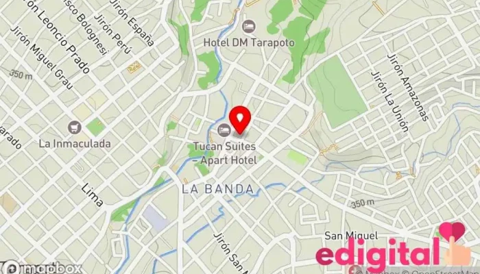 mapa de Botica Señor De Los Milagro Farmacia en Tarapoto
