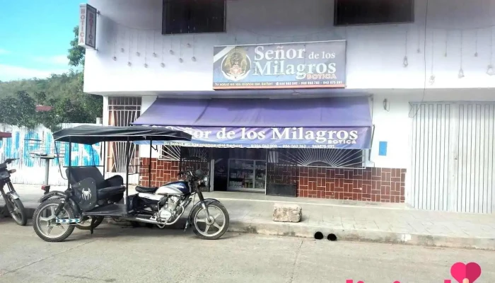 Botica señor de los milagros - Saposoa