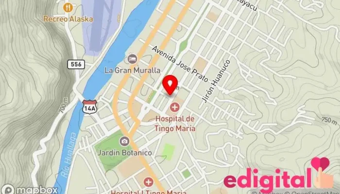 mapa de Botica Vida Farma Farmacia en Tingo María