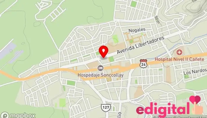 mapa de Botica Virgencita De Chapi Farmacia en San Vicente de Cañete