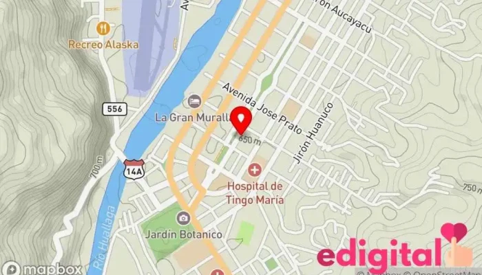 mapa de Boticas Alameda Farmacia en Tingo María