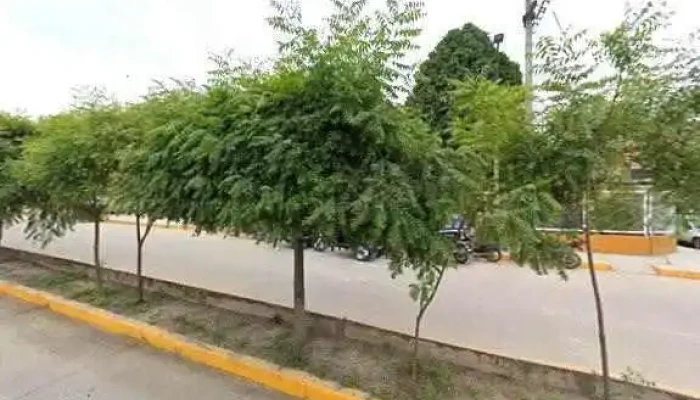 Boticas Farma Salud Cerca De Mideg - Bagua