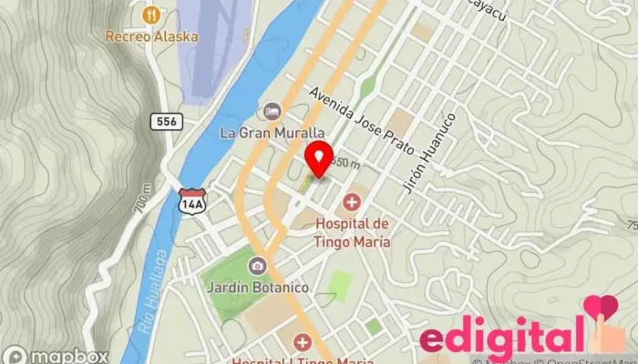 mapa de Boticas Madrecita Farmacia en Tingo María