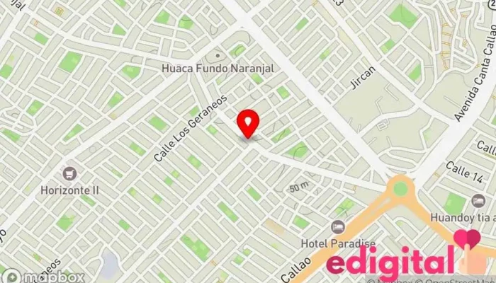 mapa de Boticas Ricardo Palma Farmacia en San Martín de Porres