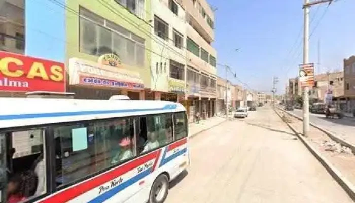 Boticas Ricardo Palma -  Videos - San Martín de Porres