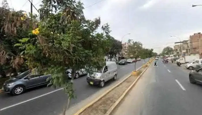 Boticas Y Salud -    Elio Numero - Lima