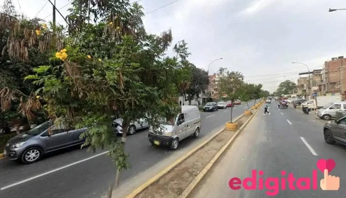 Boticas y Salud - Elio - Lima