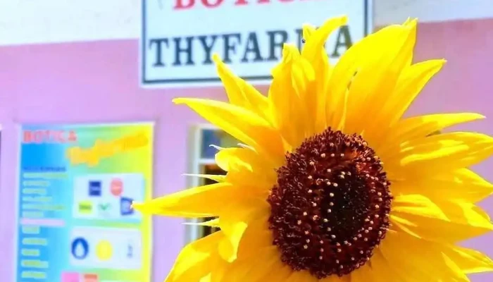 Botiquin Thyfarna Del Propietario - Paita