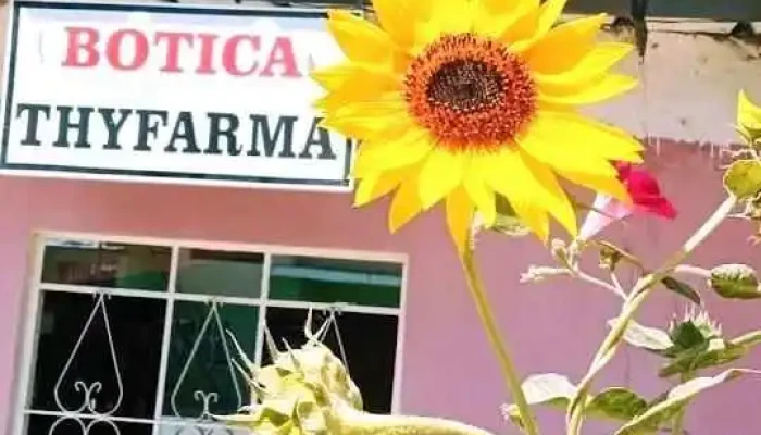 Botiquín Thyfarna - Paita
