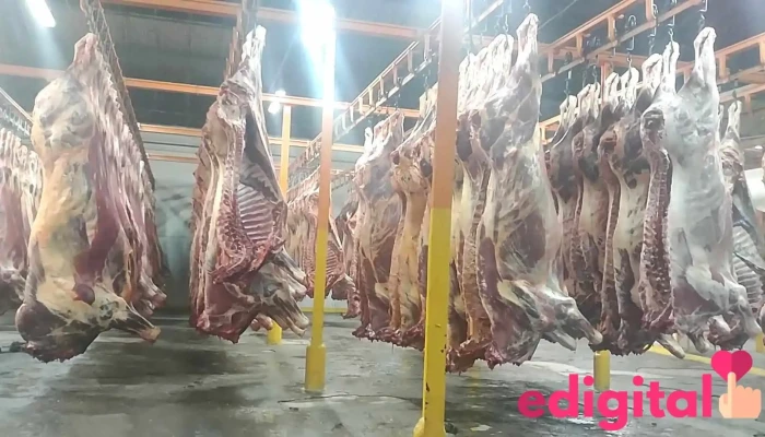 Camal Frigorífico Don Goyo S.a.c. - Perú