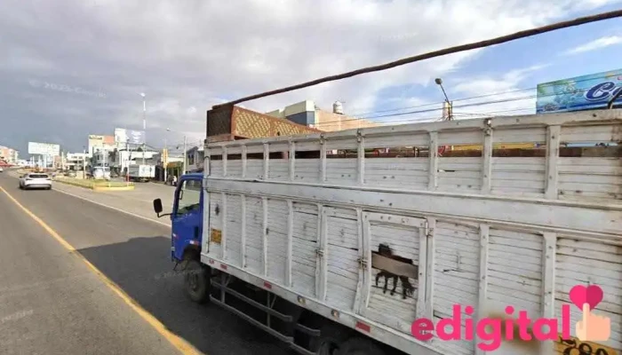 Carniceria El Triunfo - Perú
