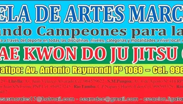 Centro De Enseñanza De Artes Marciales Y Deporte Competitivos - Satipo 12661