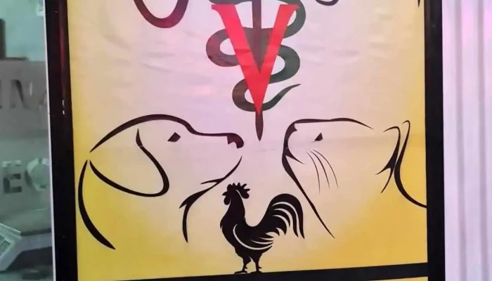 Clinica Veterinaria Alideca Del Propietario - Huánuco