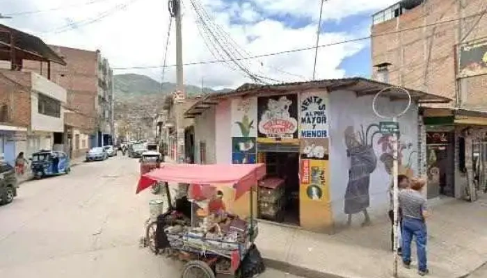 Clinica Veterinaria Alideca Puntajedeg - Huánuco