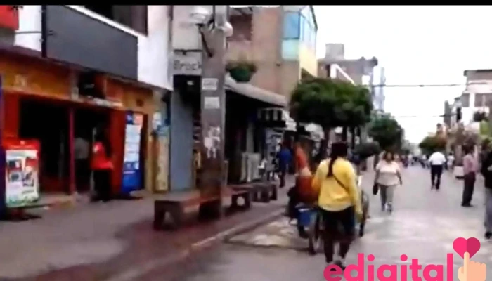 comercial Ling y Yin Eirl - Chancay 15131