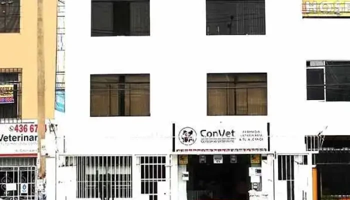 Convet - San Luis - Lima