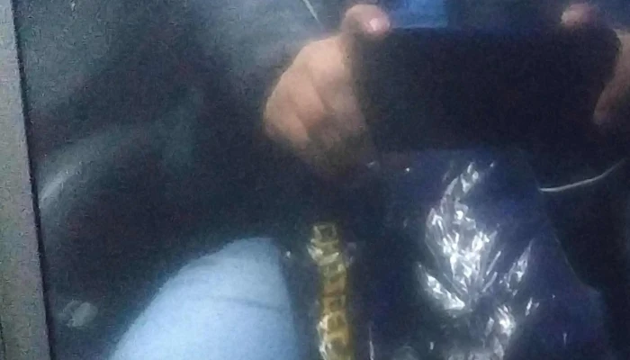 Cruz Del Sur -  Horario - Arequipa