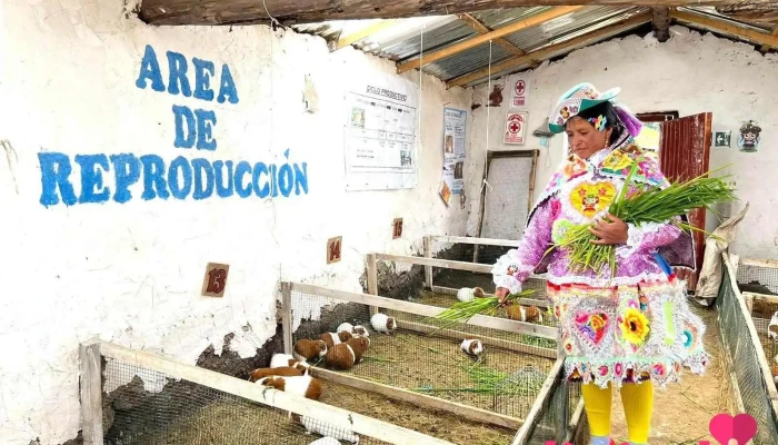cuyay chopcca - Paucará 09305