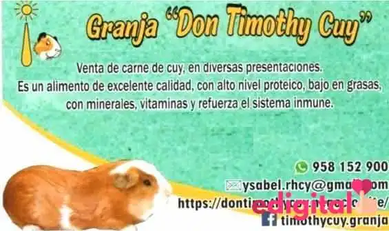 Don Timothy Cuy - Cerro Colorado 04013