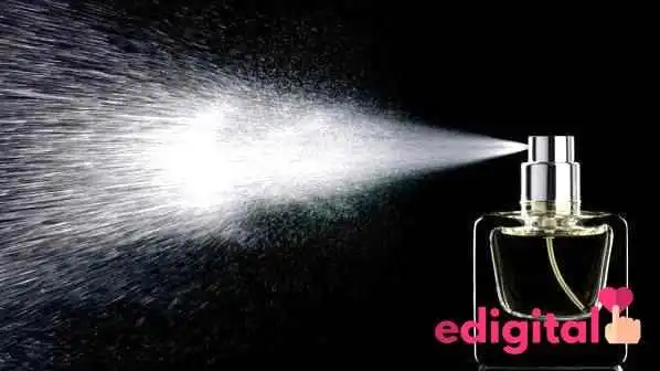 Donato Perfumes y Moda Europa - Lima 15019