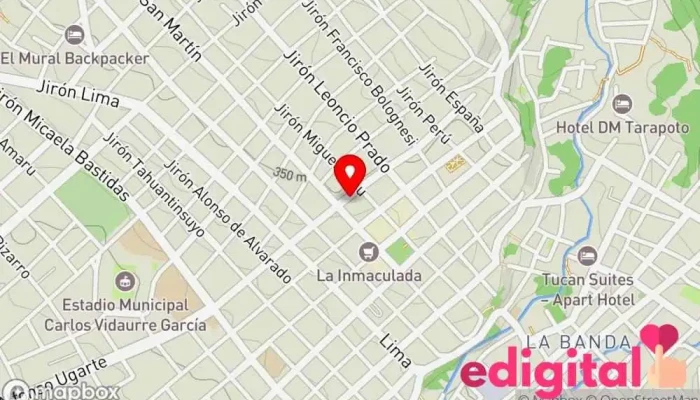mapa de Drogueria san martin Servicio de distribución en Tarapoto