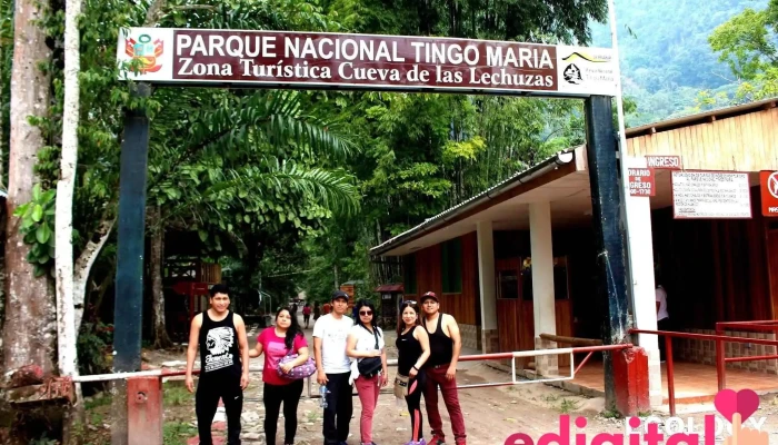 Ecology Peru - Av. Alameda Perú 558