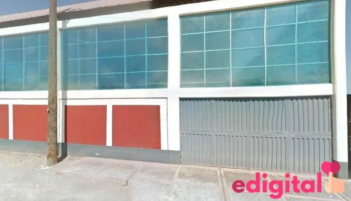 Econses Srl - Pacocha 18611