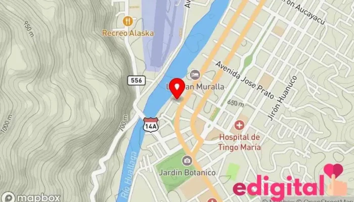 mapa de Expreso Internacional Apolo Tingo Maria Empresa de transporte por camión en Jr. Callao 135