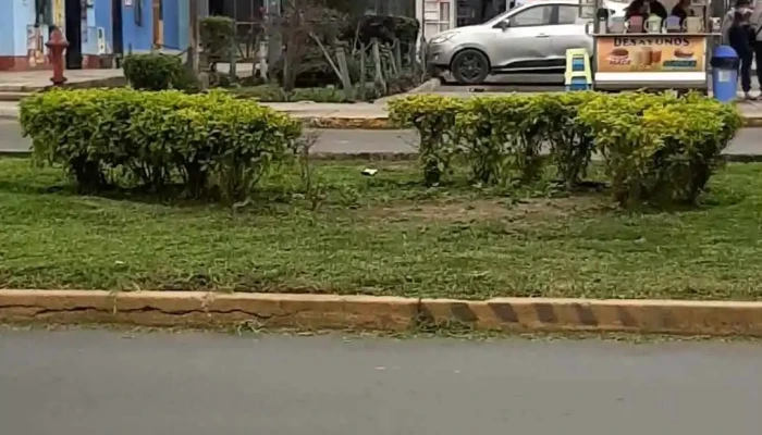 Farmacia Buen Paso -  Videos - Lima