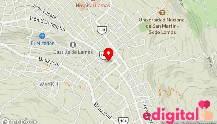 mapa de FARMACIA HELGA Tienda de comestibles, periódicos y medicamentos en Lamas