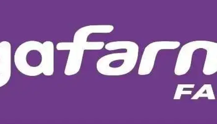 Farmacia Megafarma -  Horario - San Vicente de Cañete