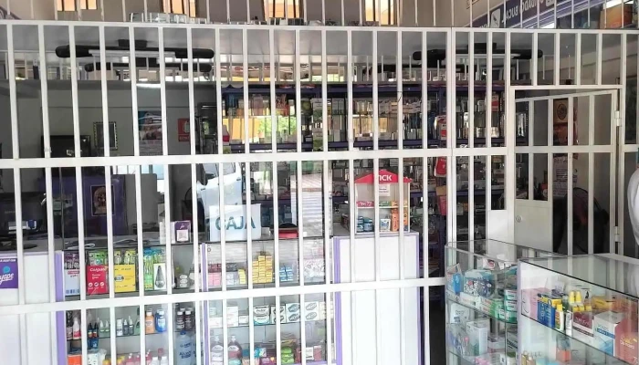 Farmacia Santa Elisa - Guadalupe 13841