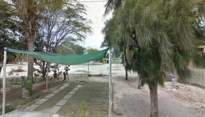 Farmysol -  Numero - Piura