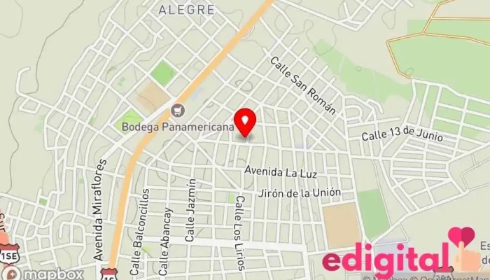 Hnd Pisco - Pisco 11631