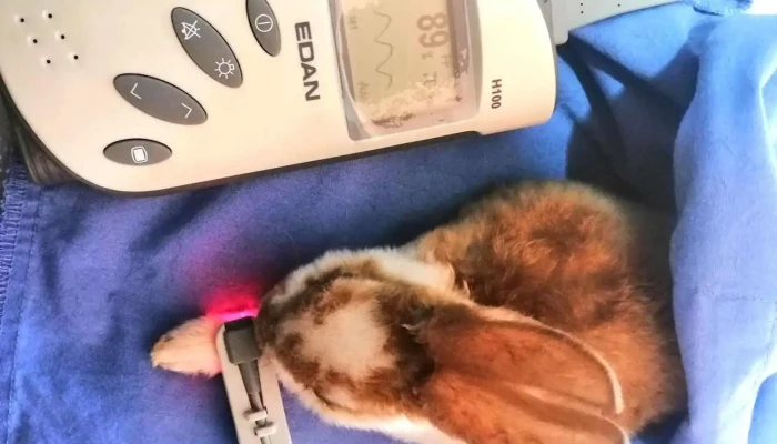 Hospital Veterinario Probivet -  Ubicacion - Juli