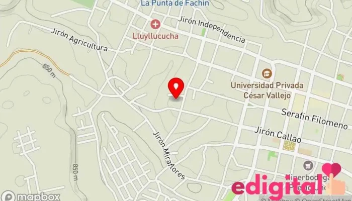 Hoyos Motor's E.i.r.l - Rioja 22001