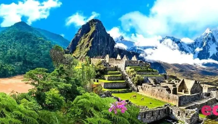 Huayna Peru - Peru