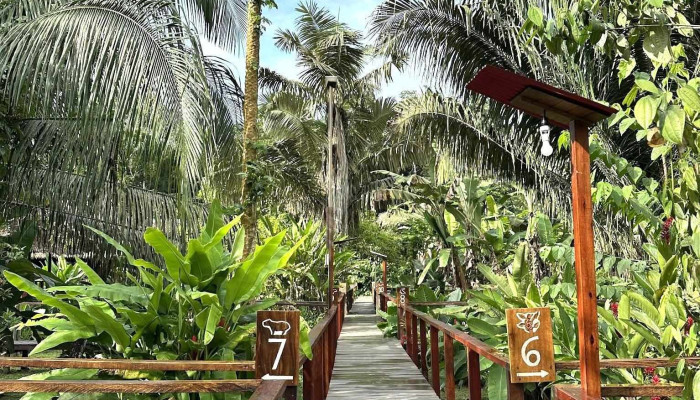 JunglePro. - Puerto Maldonado 17001