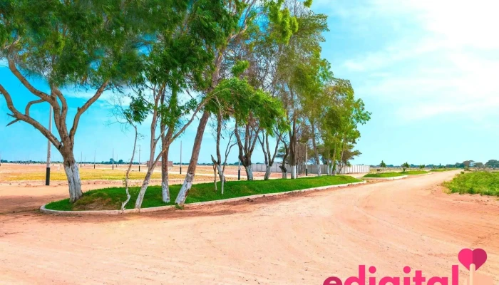 Los Altos De San Roque (aldasa Inmobiliaria) - Perú