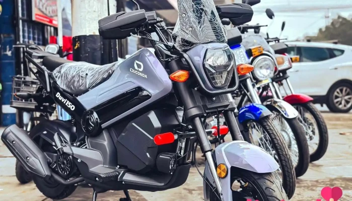 Lozan Motors - Huánuco 10002