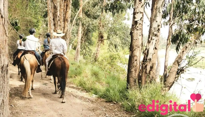 Luna’s Horses - Urubamba 08661