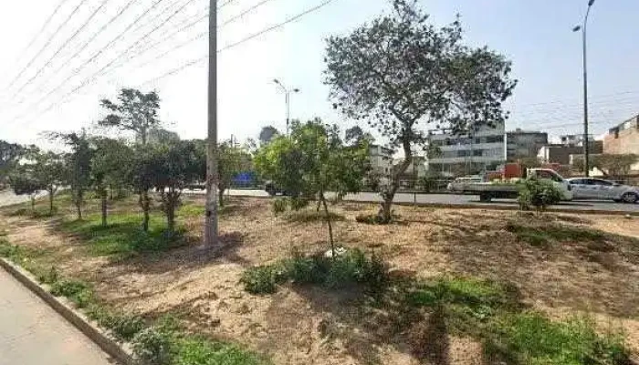 Miguel -  Comentarios - San Luis
