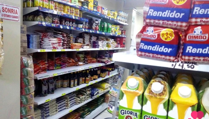 Minimarket Neliseo - Arequipa 04013