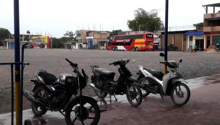 Movil Bus Agencia Nueva Cajamarca - Nueva Cajamarca 22846